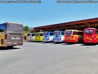 Terminal Buses Bio Bio Angol - 2 thumb