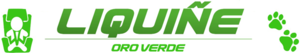 Buses Liquiñe logo